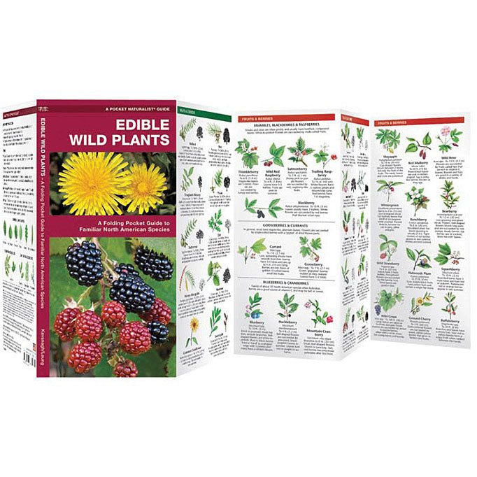 EDIBLE WILD PLANTS