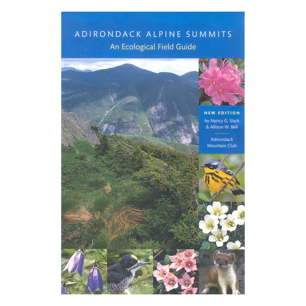 ADIRONDACK ALPINE SUMMITS