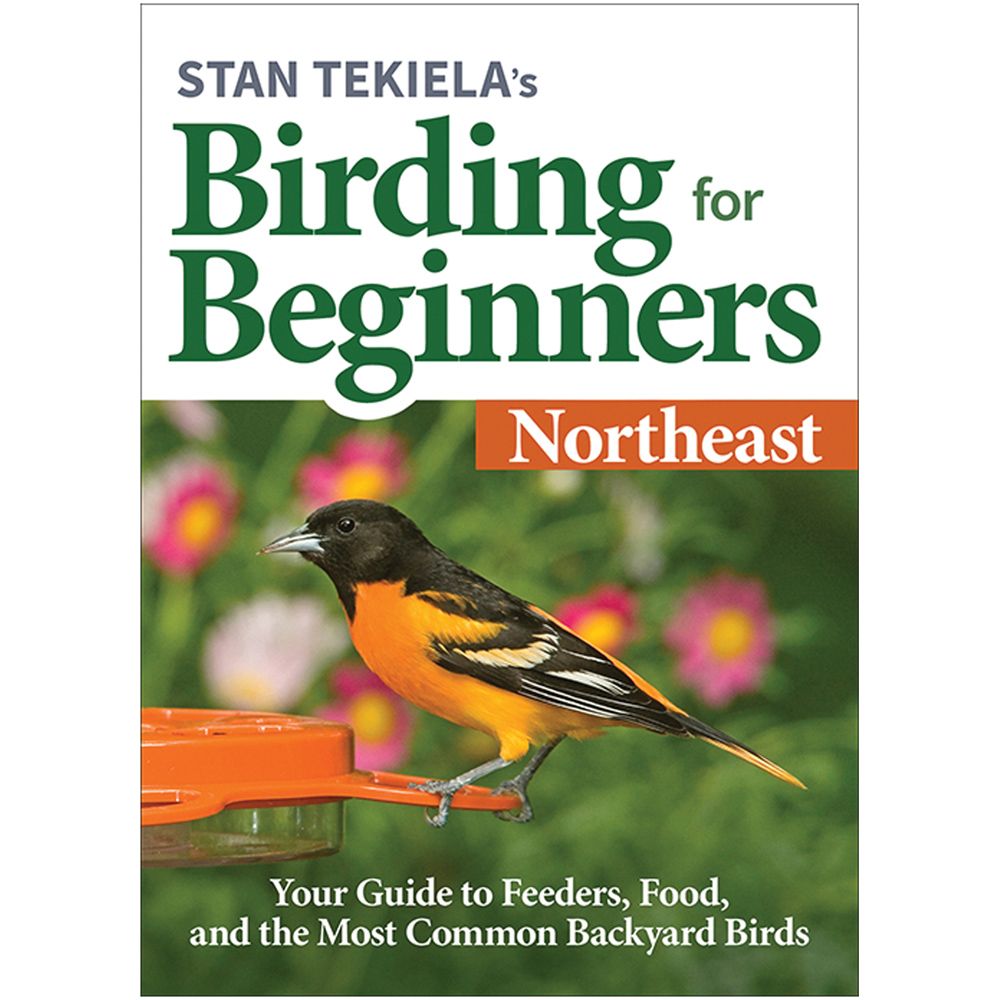 BIRDING FOR BEGINNERS: NORTHEAST