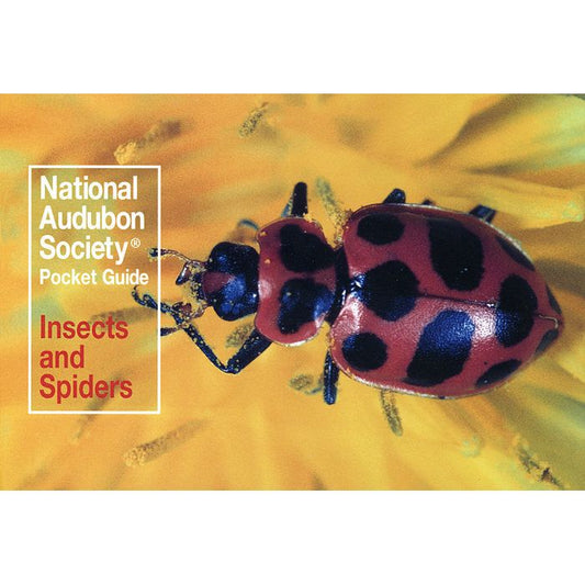 NATIONAL AUDUBON SOCIETY POCKET GUIDE TO FAMILIAR INSECTS AND SPIDERS