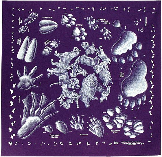 Animal Tracks Bandana