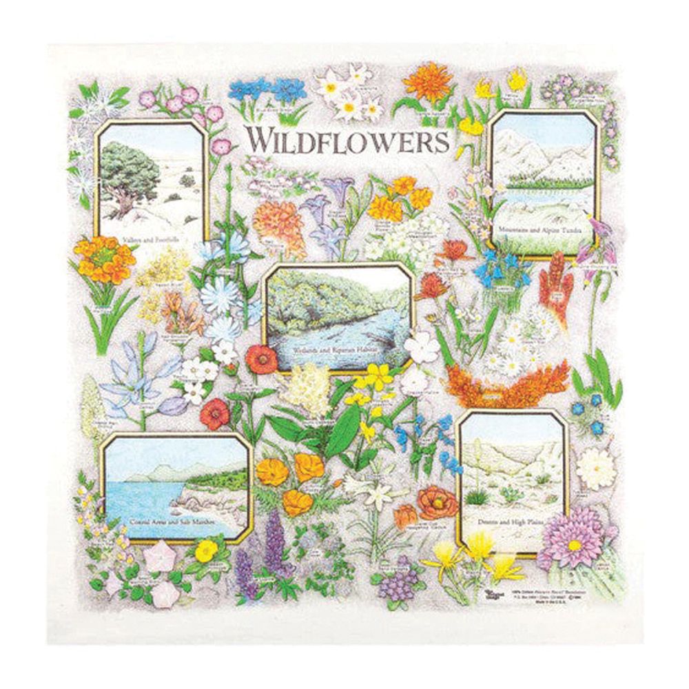 Wildflowers BANDANA