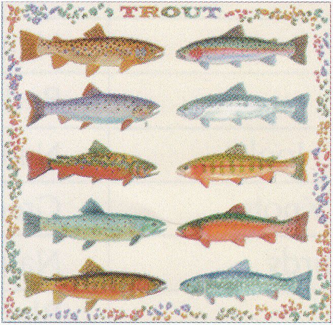 Trout BANDANA