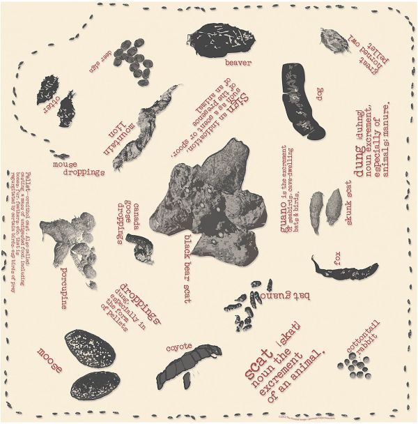 SCAT BANDANA