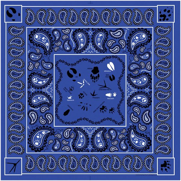 PAISLEY TRACKS BANDANA