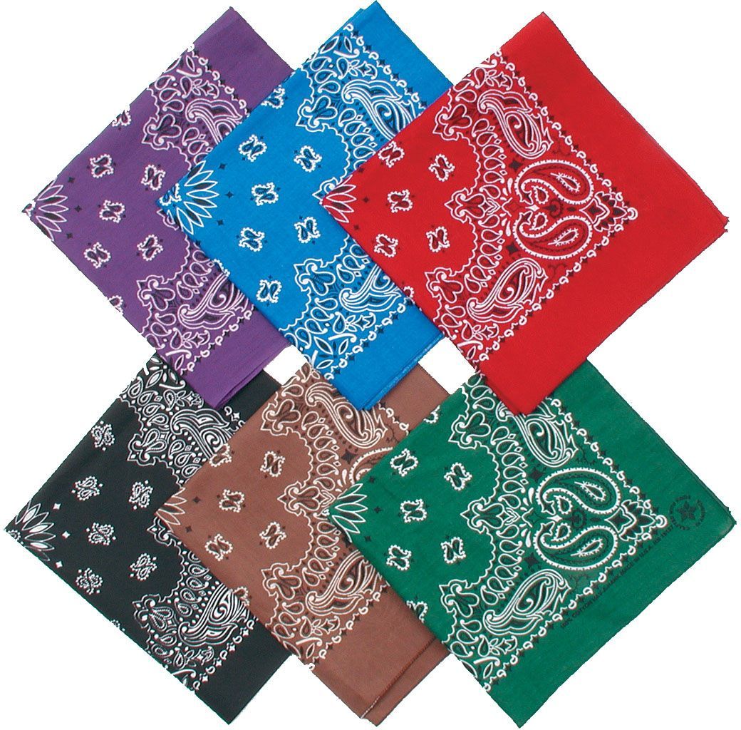 Paisley Bandana