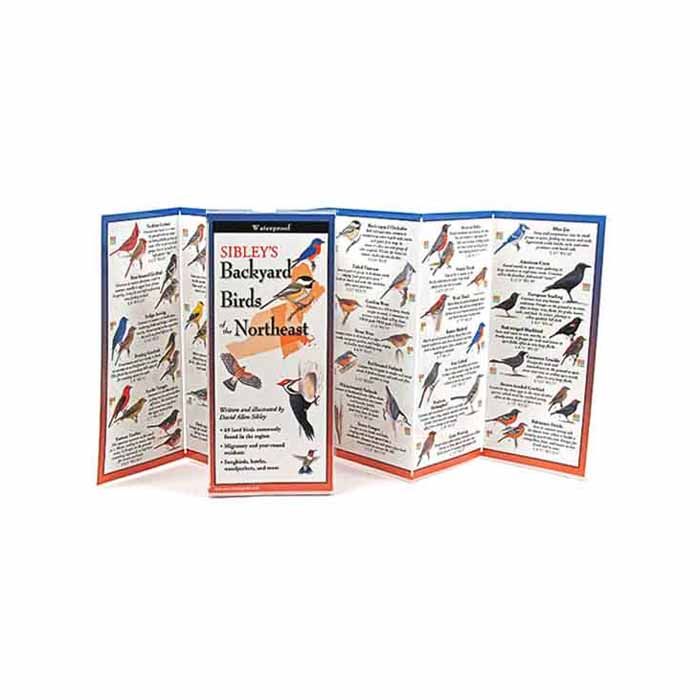 SIBLEY'S BACKYARD BIRDS OF THE NORTHEAST