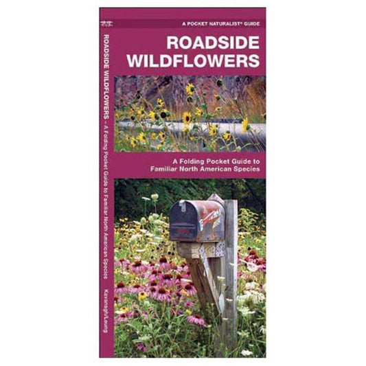 ROADSIDE WILDFLOWERS Guide